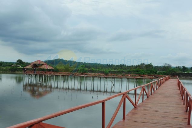 Wisata Hutan Mangrove Batukaras