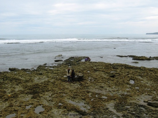 Indahnya Pantai Karapyak Yang Perawan