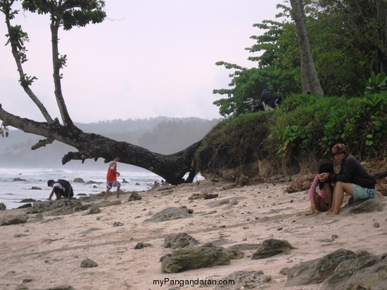 Indahnya Pantai Karapyak Yang Perawan