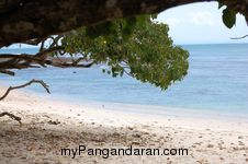 Indahnya Pasir Putih Pangandaran