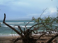 Indahnya Pasir Putih Pangandaran