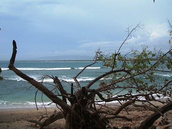 Indahnya Pasir Putih Pangandaran