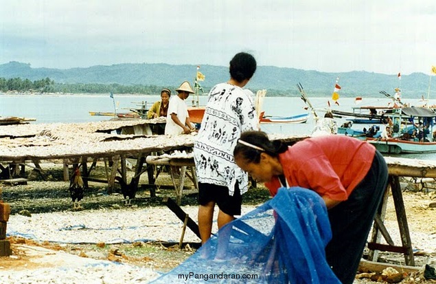 Pantai Pangandaran Tahun 1996