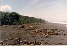 Pantai Pamugaran 1987