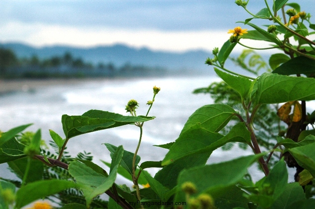 Pesona Pantai Bulak Setra Pangandaran