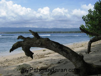 Pasir Putih Surganya Para Turis