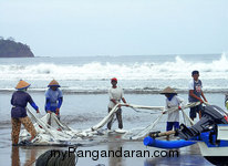 Menarik Jaring Pukat