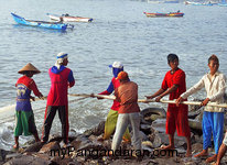 Menarik Jaring Pukat