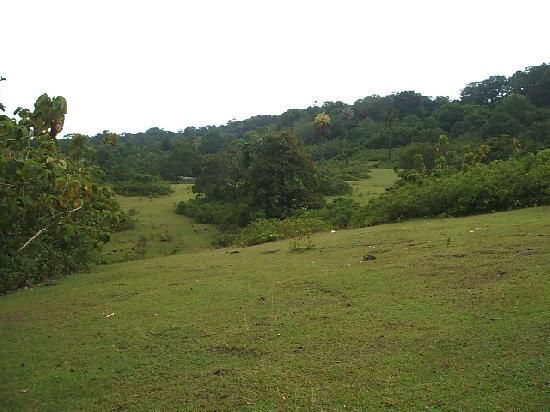 Cagar Alam Pananjung