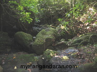 Menyusuri Cagar Alam,Melihat Indahnya Curug Pananjung