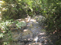 Menyusuri Cagar Alam,Melihat Indahnya Curug Pananjung