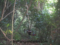 Menyusuri Cagar Alam,Melihat Indahnya Curug Pananjung