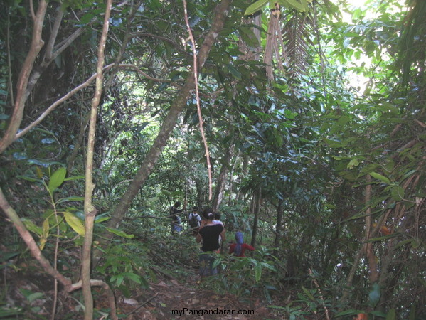 Menyusuri Cagar Alam,Melihat Indahnya Curug Pananjung