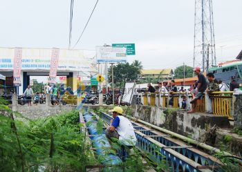 Sungai Cikidang Pasang, Ikan-Ikan Bermunculan