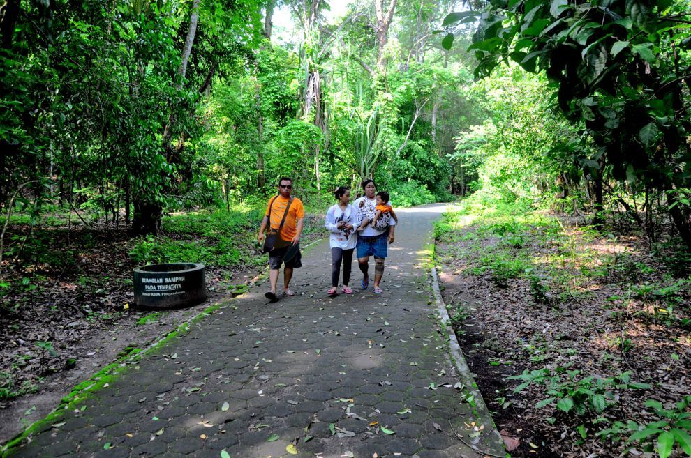 Asrinya Jungle Tracking di Cagar Alam