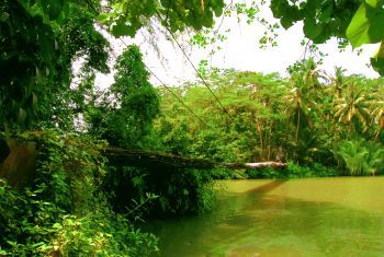 Jembatan Gantung Mandala Cijulang