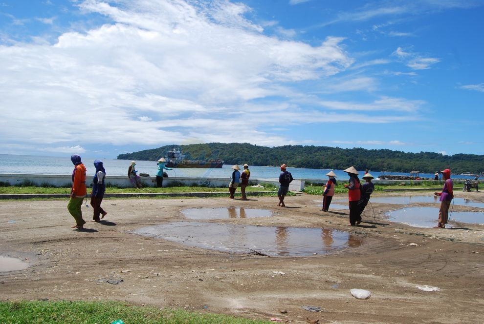 Nelayan  Tradisional