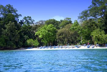 Pasir Putih Pantai Timur