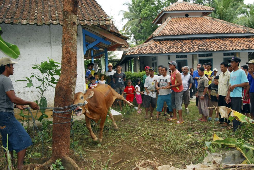 Pelaksanaan Ibadah Idul Adha 1435 H di Pangandaran