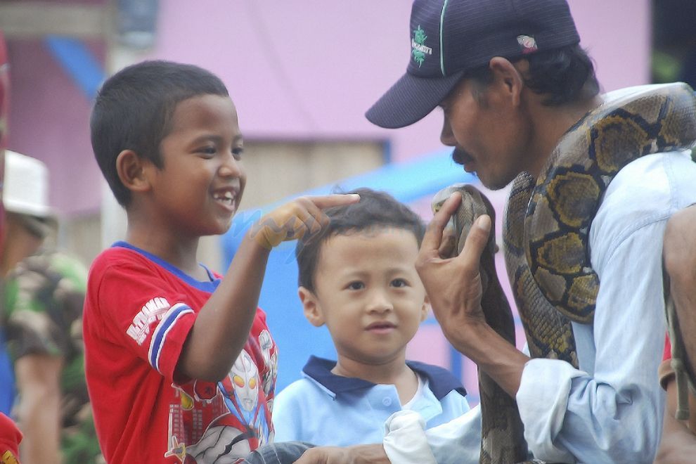 Unik, Foto Bersama Ular Piton di Pantai Timur Pangandaran