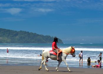 Menikmati Pantai Pangandaran Dari Atas Kuda