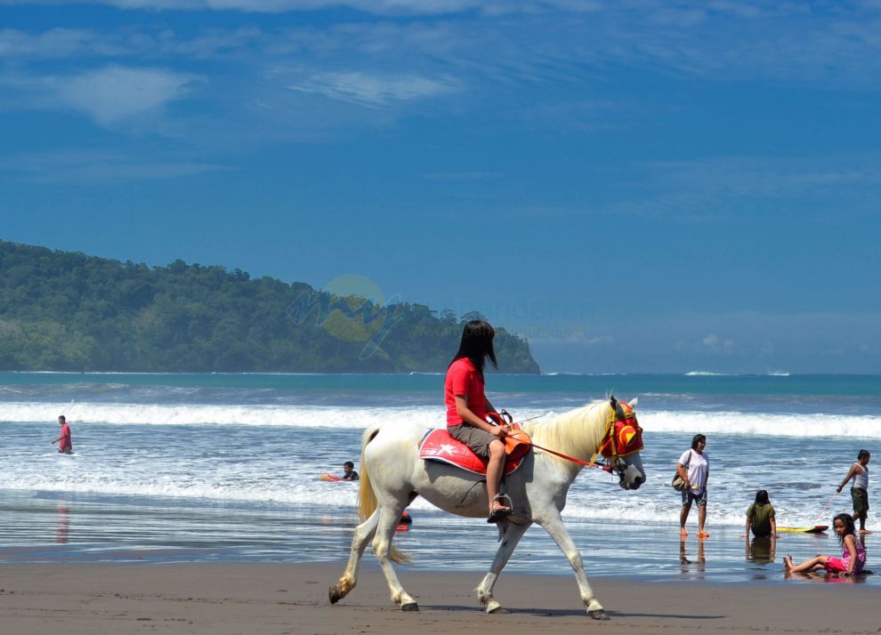 Menikmati Pantai Pangandaran Dari Atas Kuda