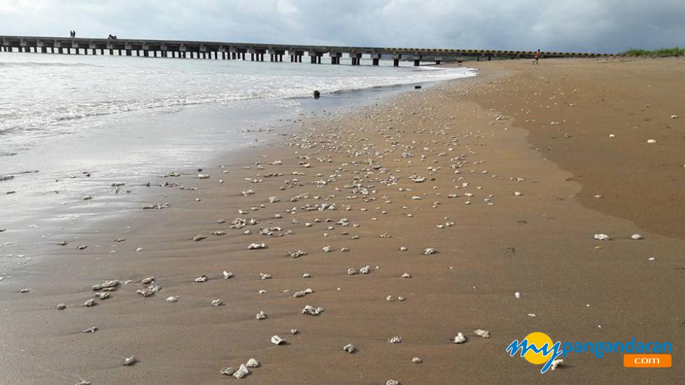 Butiran Batu Karang Hiasi Pantai Bojong Salawe Parigi Pangandaran