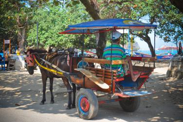 Andong Yang Semakin Tersisihkan