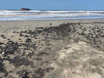 Foto: Hamparan batu bara terlihat berserakan di pesisir Pantai Sukaresik, Kabupaten Pangandaran