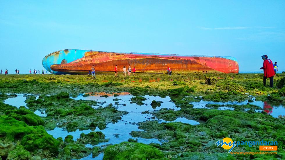 Hijaunya Hamparan Rumput Laut dan Terumbu Karang Hari Ini