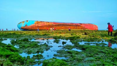 Hijaunya Hamparan Rumput Laut dan Terumbu Karang Hari Ini