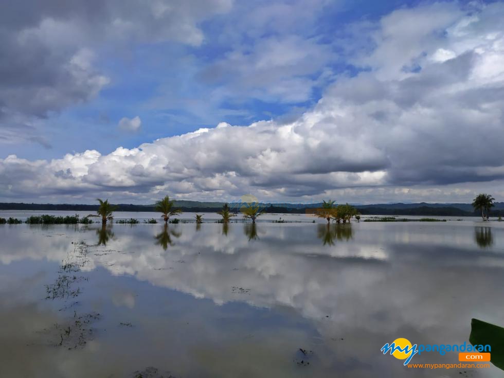 Indahnya Pesawahan Citumang yang di Sulap Menjadi Danau Dalam Semalam