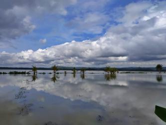 Indahnya Pesawahan Citumang yang di Sulap Menjadi Danau Dalam Semalam