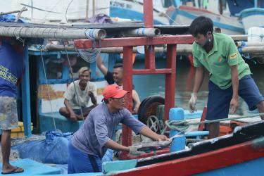 Kegiatan Bongkar Ikan di Pelabuhan PPI Cikidang Pangandaran