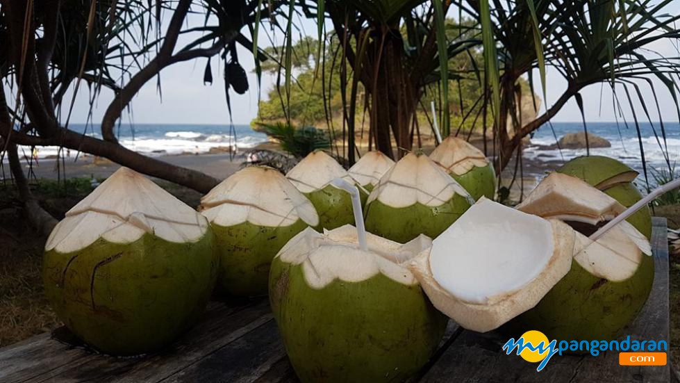 Menikmati Segarnya Kelapa Muda di Pantai Madasari Pangandaran