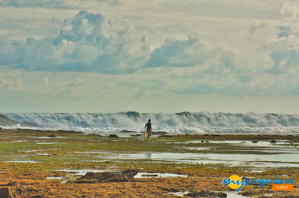 Pencari Rumput Laut Di Pantai Karapyak