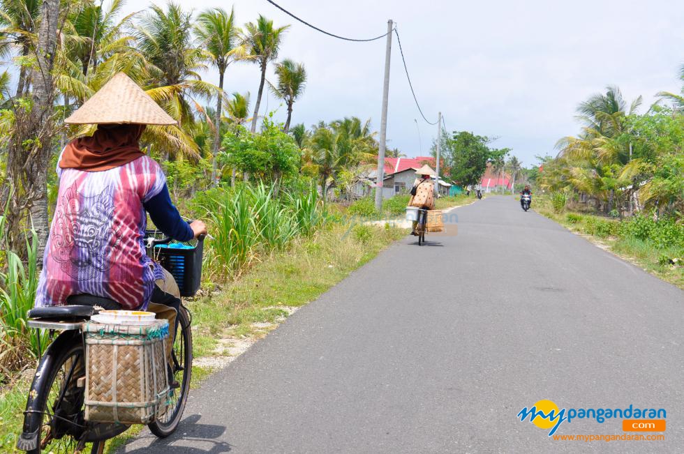 Penjual Ikan Keliling