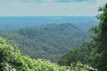 Potret Jembatan Cikacepit Pangandaran 