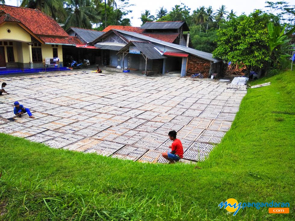 Melihat Proses Penjemuran Kerupuk di Pabrik Kerupuk Terbesar di Pangandaran