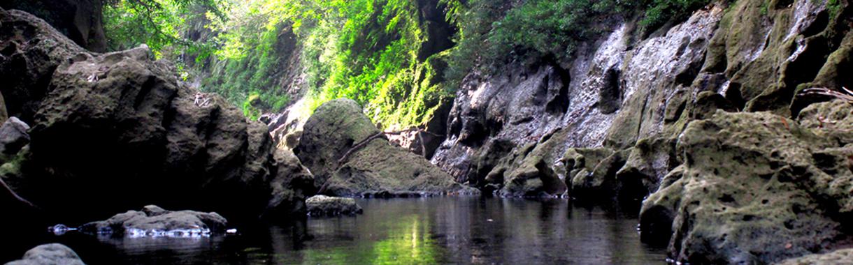 Curug Taringgul (Green Jorge) - Testimoni