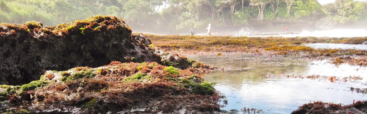 Pantai Madasari