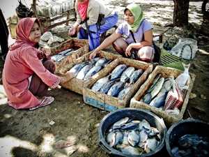 Nelayan Pangandaran